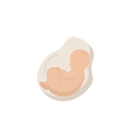 Icono con la imagen de un bebé en el vientre